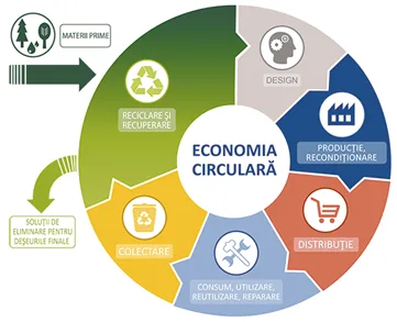 Economia circulară din perspectiva standardizării
