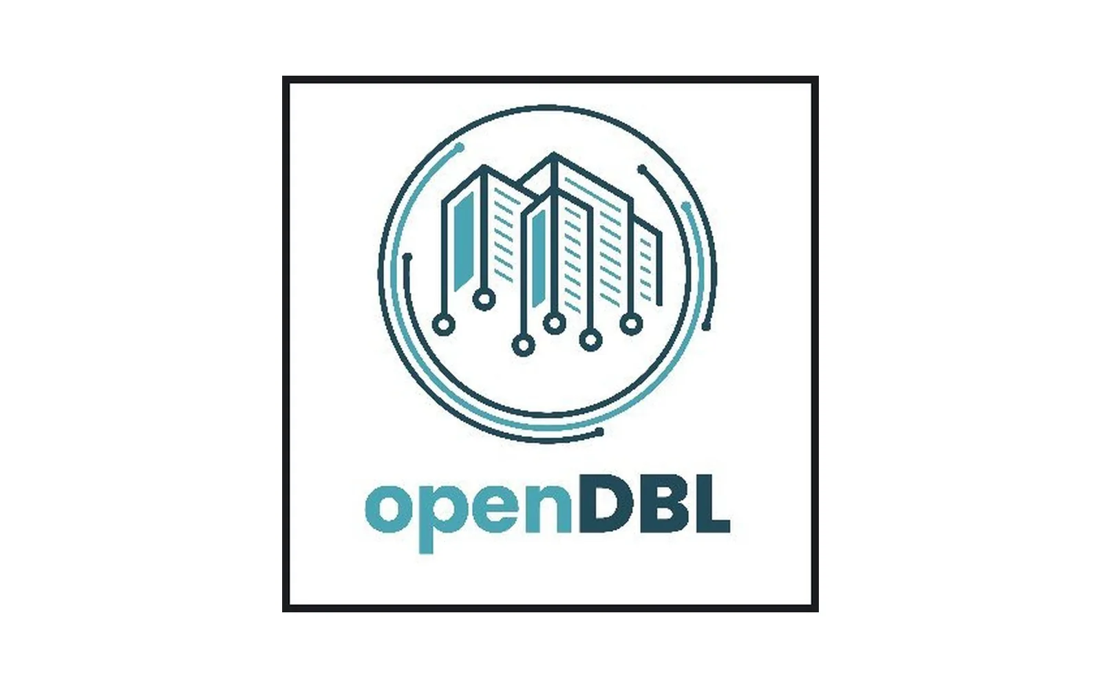 Identitatea vizuală a proiectului openDBL
