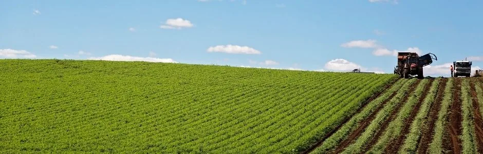 Standardizarea în lumea agroalimentară
